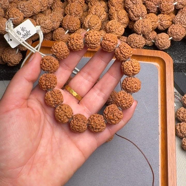 菩提11号尼泊尔大金刚17蜂窝