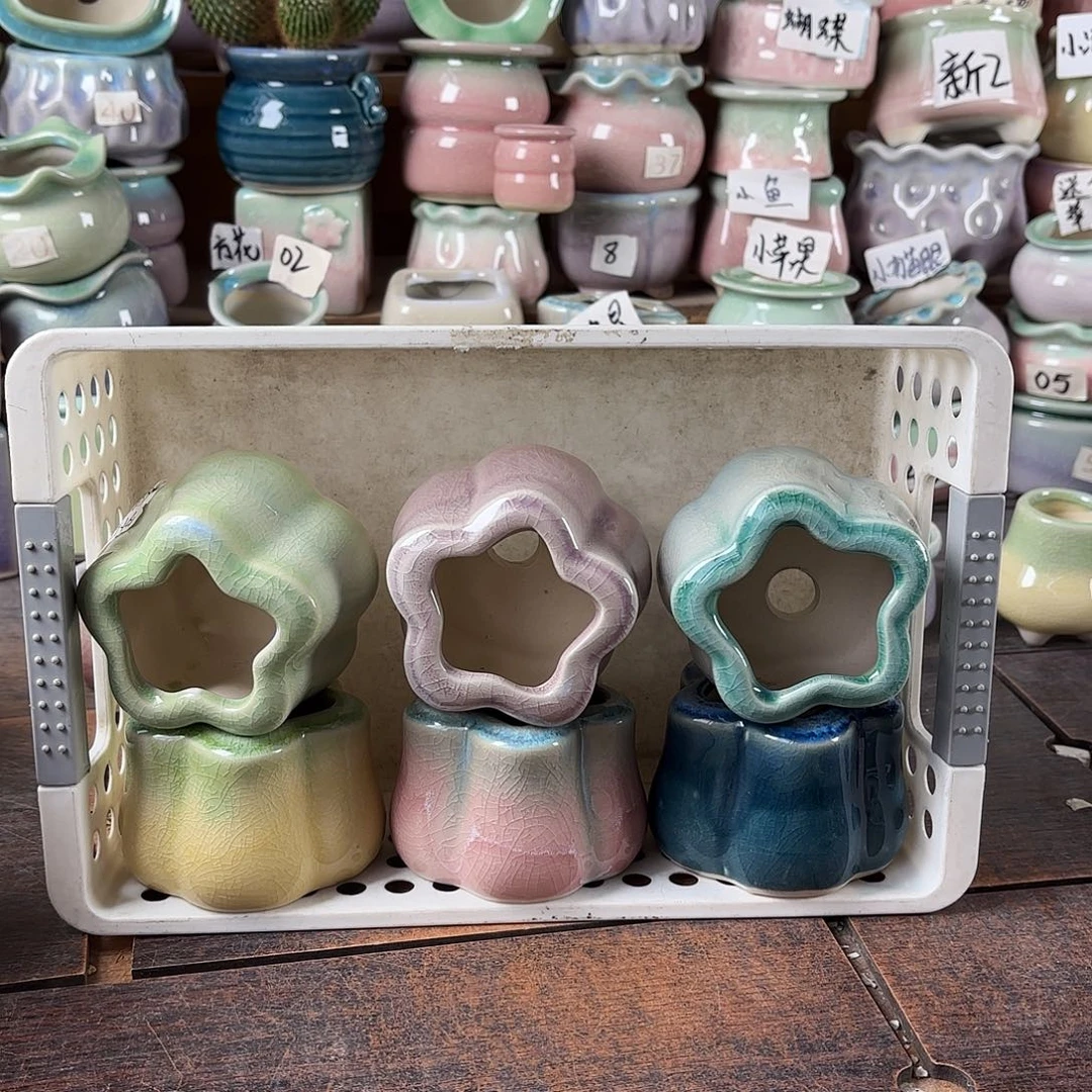 量货/5口高5深浅搭配发6