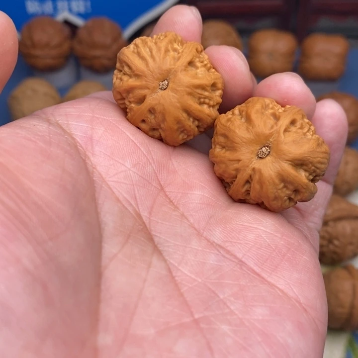 文玩核桃把件肉龙