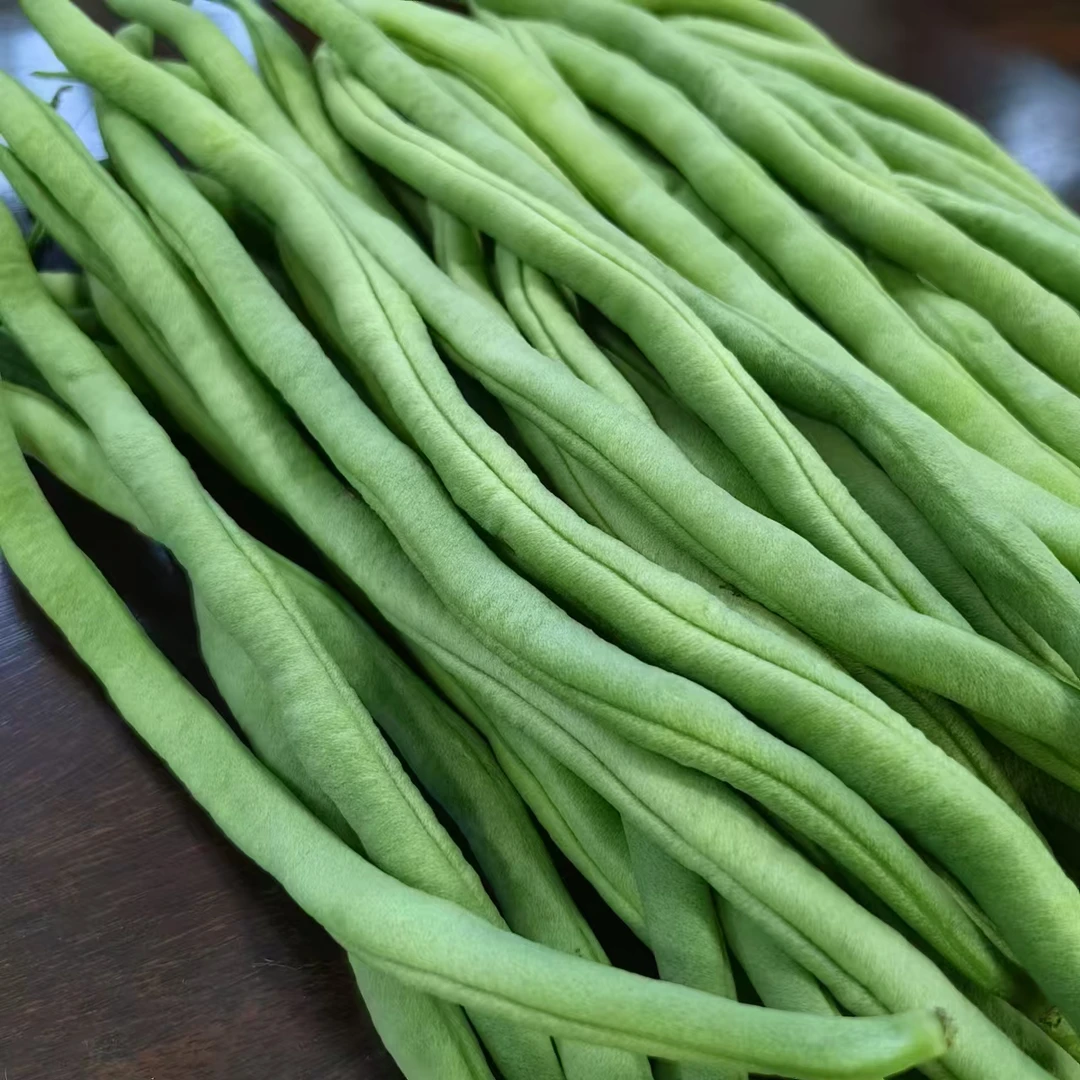 大仓谷农场 豆王 无丝豆 无筋豆 豆角 大棚蔬菜 现摘现发