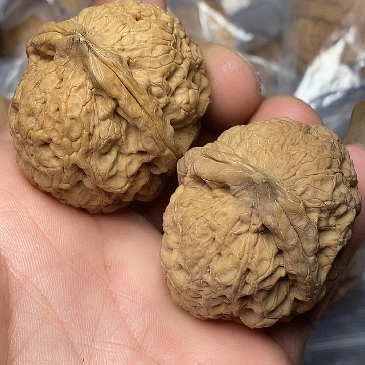 把件文玩核桃志成云铁文玩50