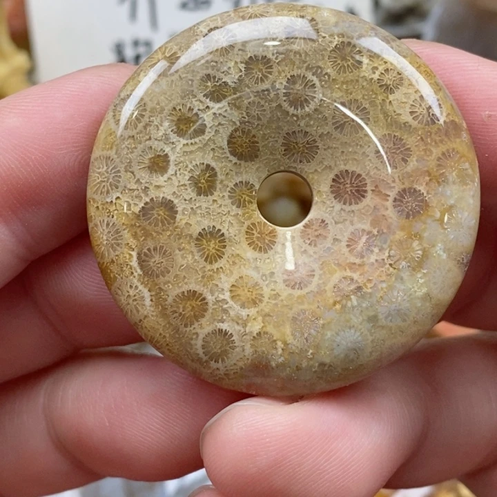 颈饰未镶嵌硅化珊瑚（珊瑚玉）