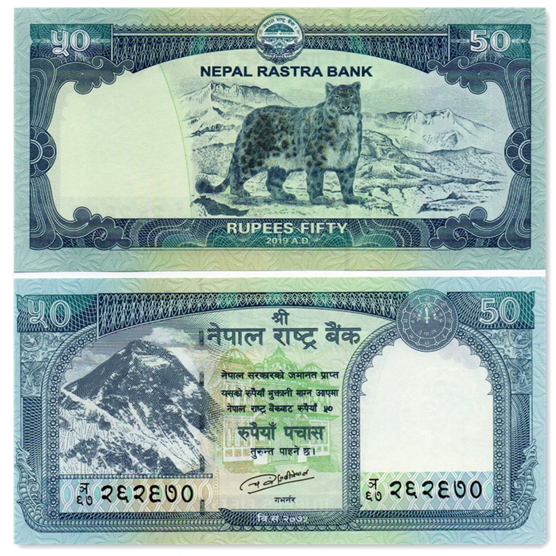 尼泊尔50卢比纸币 2019年动物雪豹 亚洲外国钱币全新