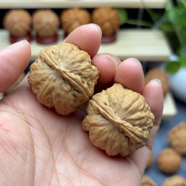 文玩核桃把件默野生核桃秋子手捻681