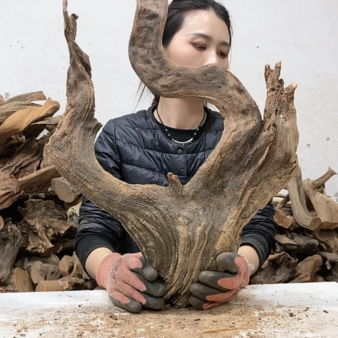 【闪购商品】柏木轩**龙我们都是好孩子