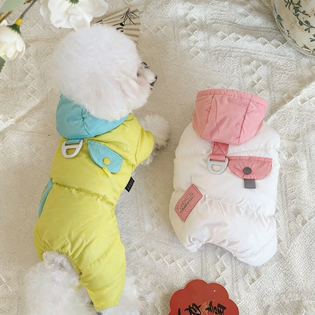 狗狗秋季新款衣服幼犬小型犬可牵引泰迪户外可调节撞色防风加绒衣