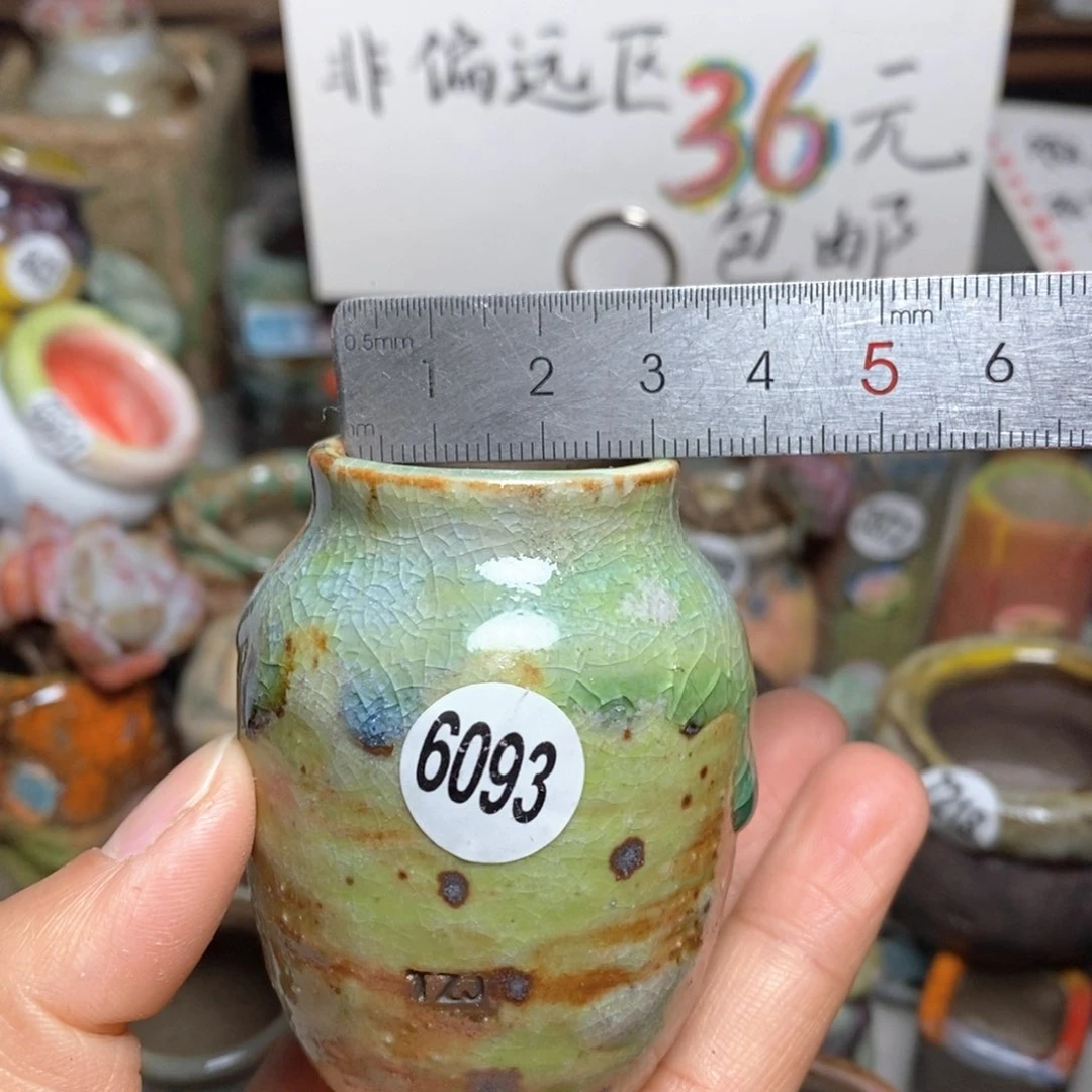 花盆拍5送一个小礼物