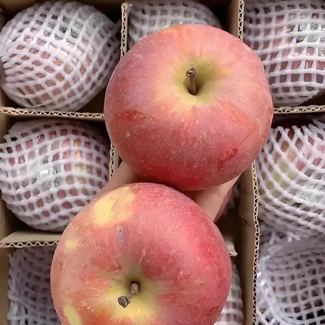 新疆阿克苏苹果二斤新疆维吾尔自治区