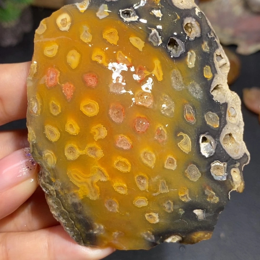 【闪购商品】硅化玉珊瑚玉未镶嵌