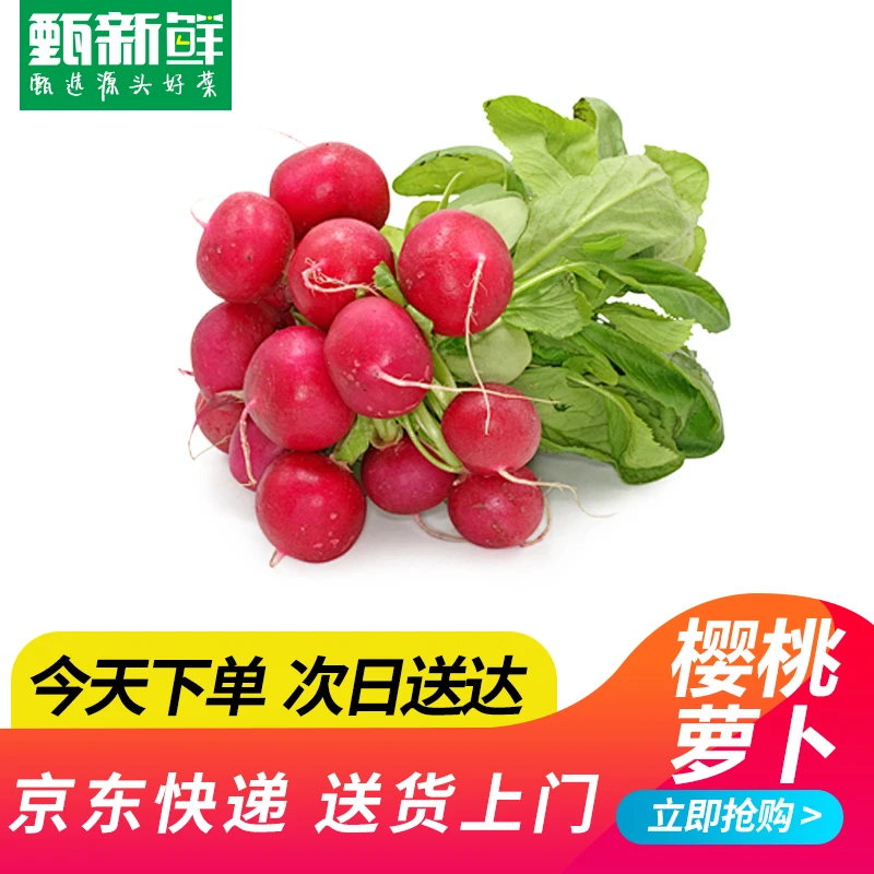 新鲜樱桃小萝卜450g京东快递送货到家