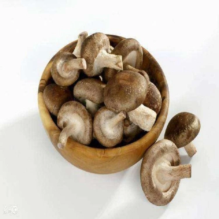 鲜香菇约180g