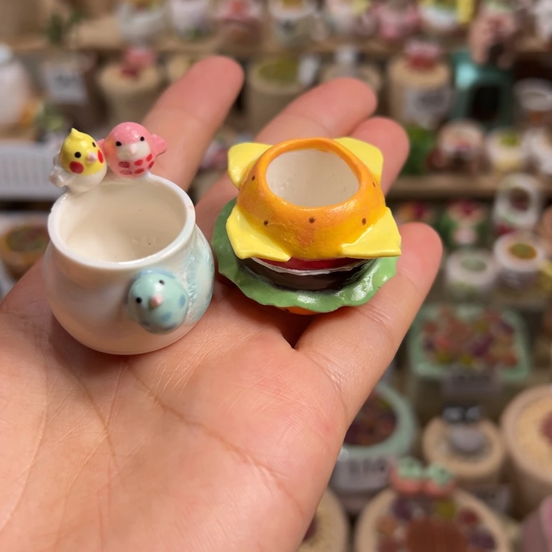 野*.多肉植物140号看着种