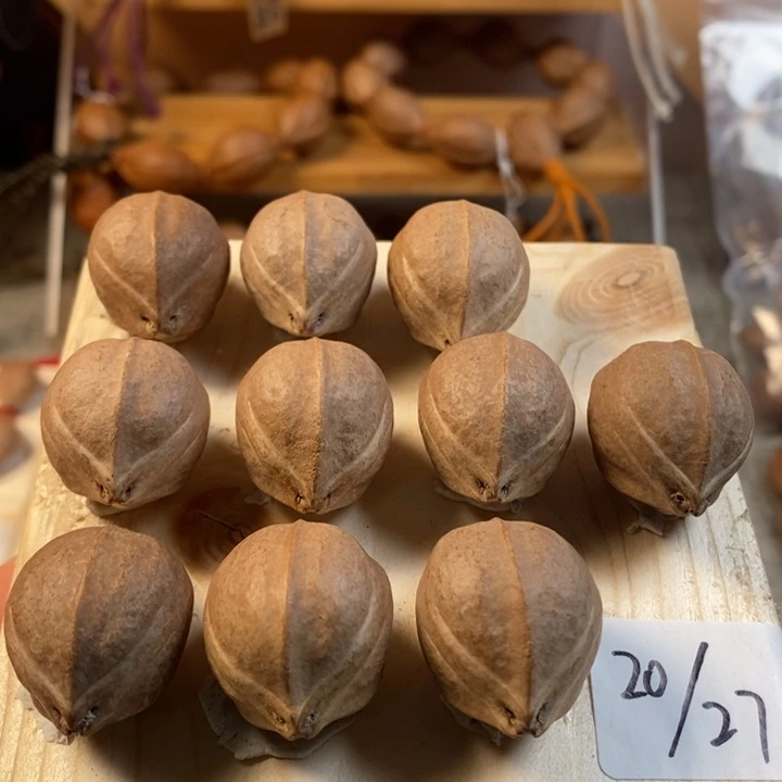 橄榄核手串/手链2.0✖️2.7手串