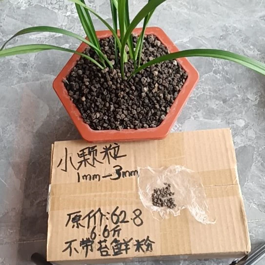 辉***界兰菌黑山土小颗粒6.6斤