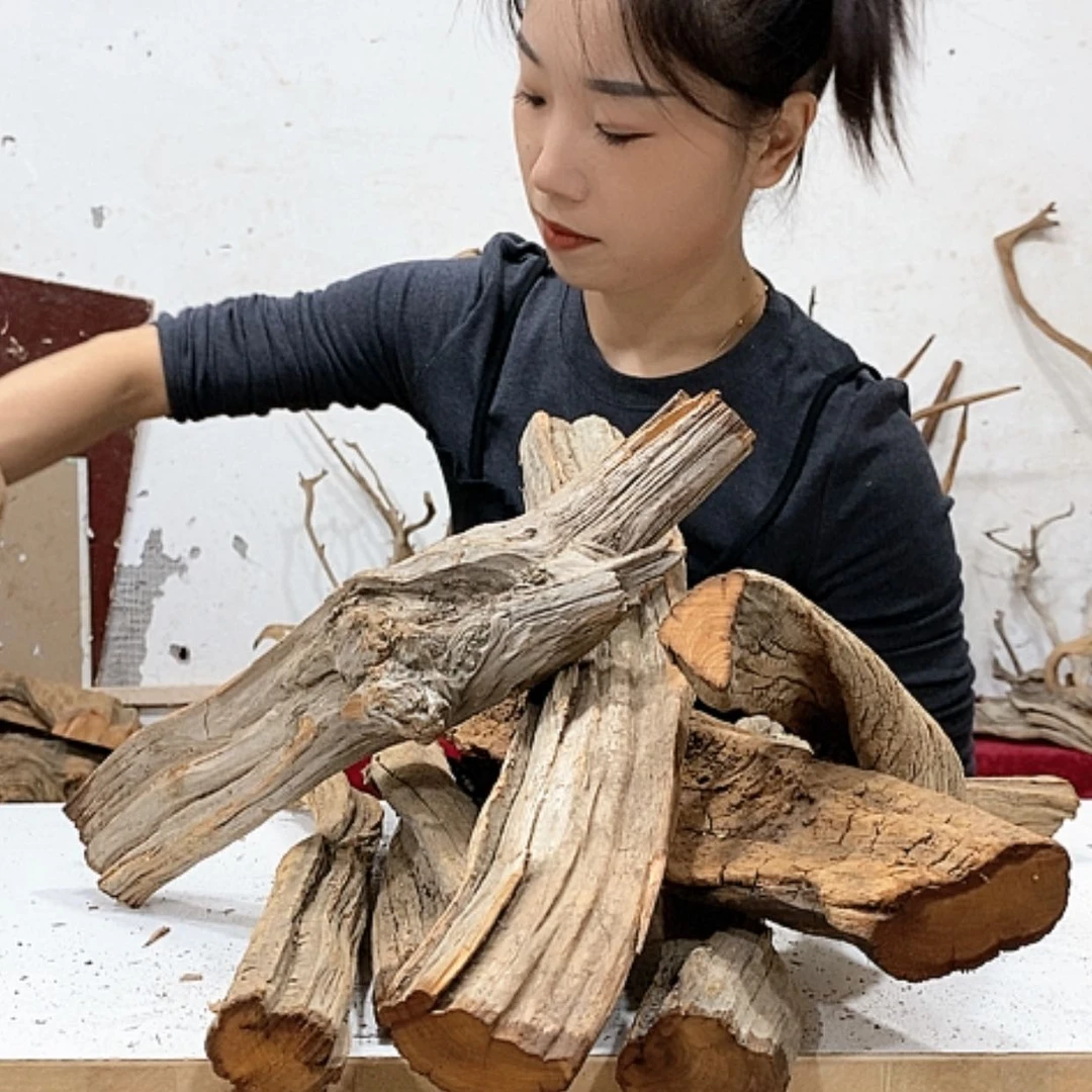 【闪购商品】柏木D*我们都是好孩子