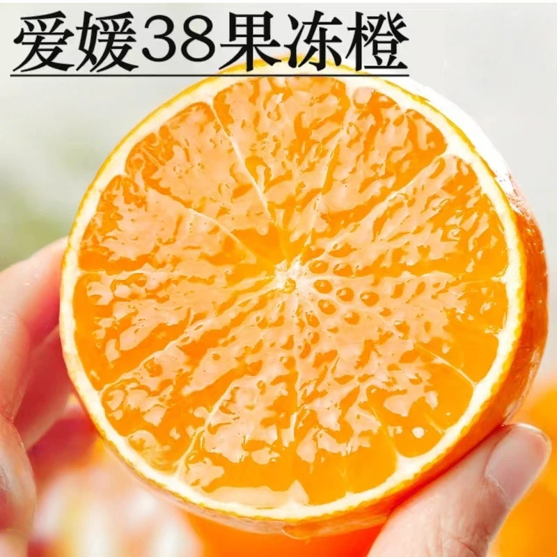 四川爱媛38号果冻橙新鲜橙子水果新鲜现摘柑橘蜜橘批发大果非脐橙