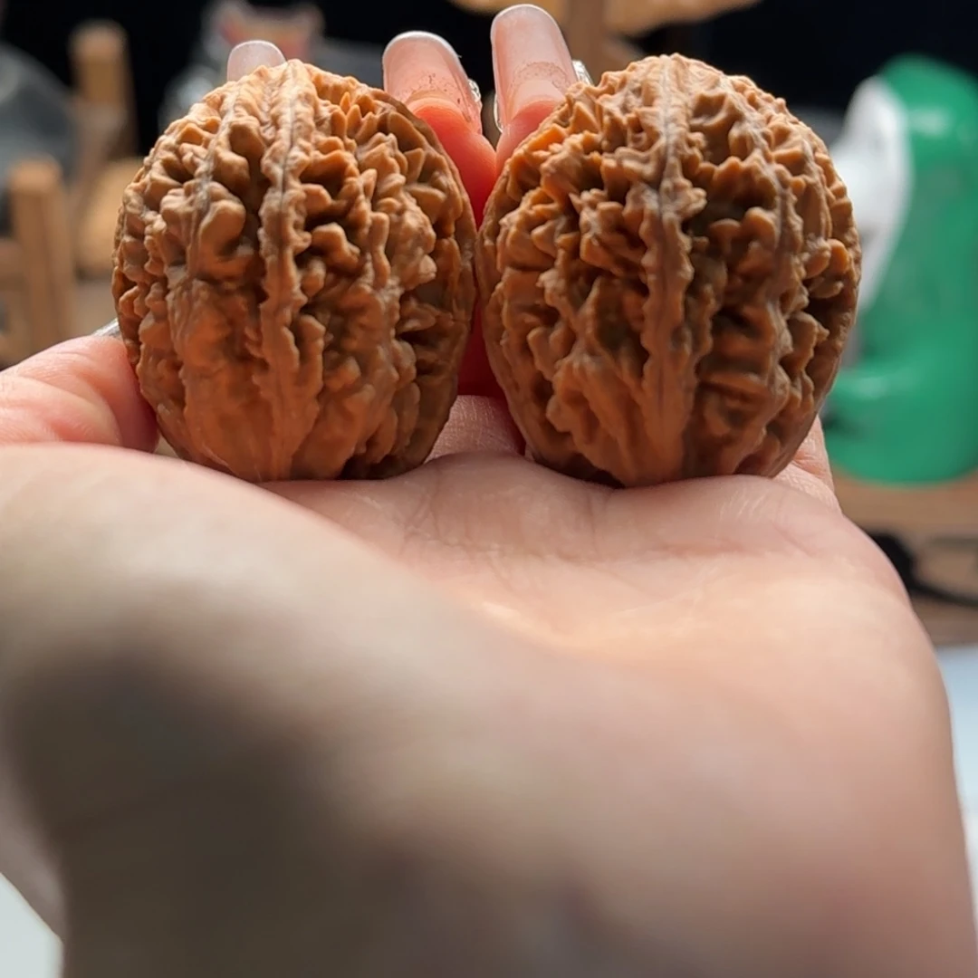 文玩核桃把件乐**龘关东木子楸百核34