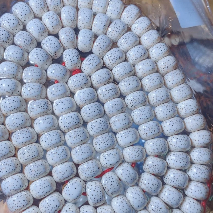 【闪购商品】星月菩提吊坠?***凡Ffggggghhhhhh
