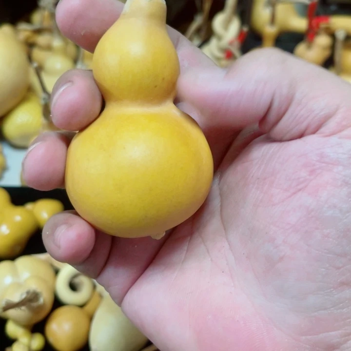 刘****)蜗牛腰线的设计很有