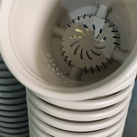 树脂四季6号灰白无托10个特价