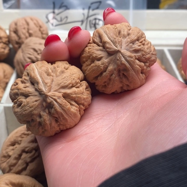 2****霸王龙全品无修一刀没动