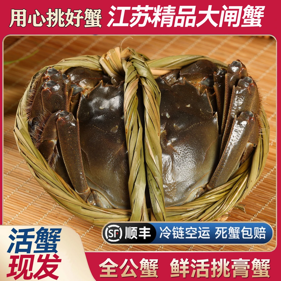 【江苏活蟹】大闸蟹公4.3-4.0两8/10只淡水蟹去绳净重礼盒顺丰包邮