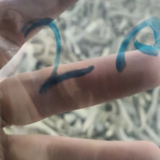 乌***刀铁合金珐琅鹿角鹿角鹿角鹿角鹿角鹿角