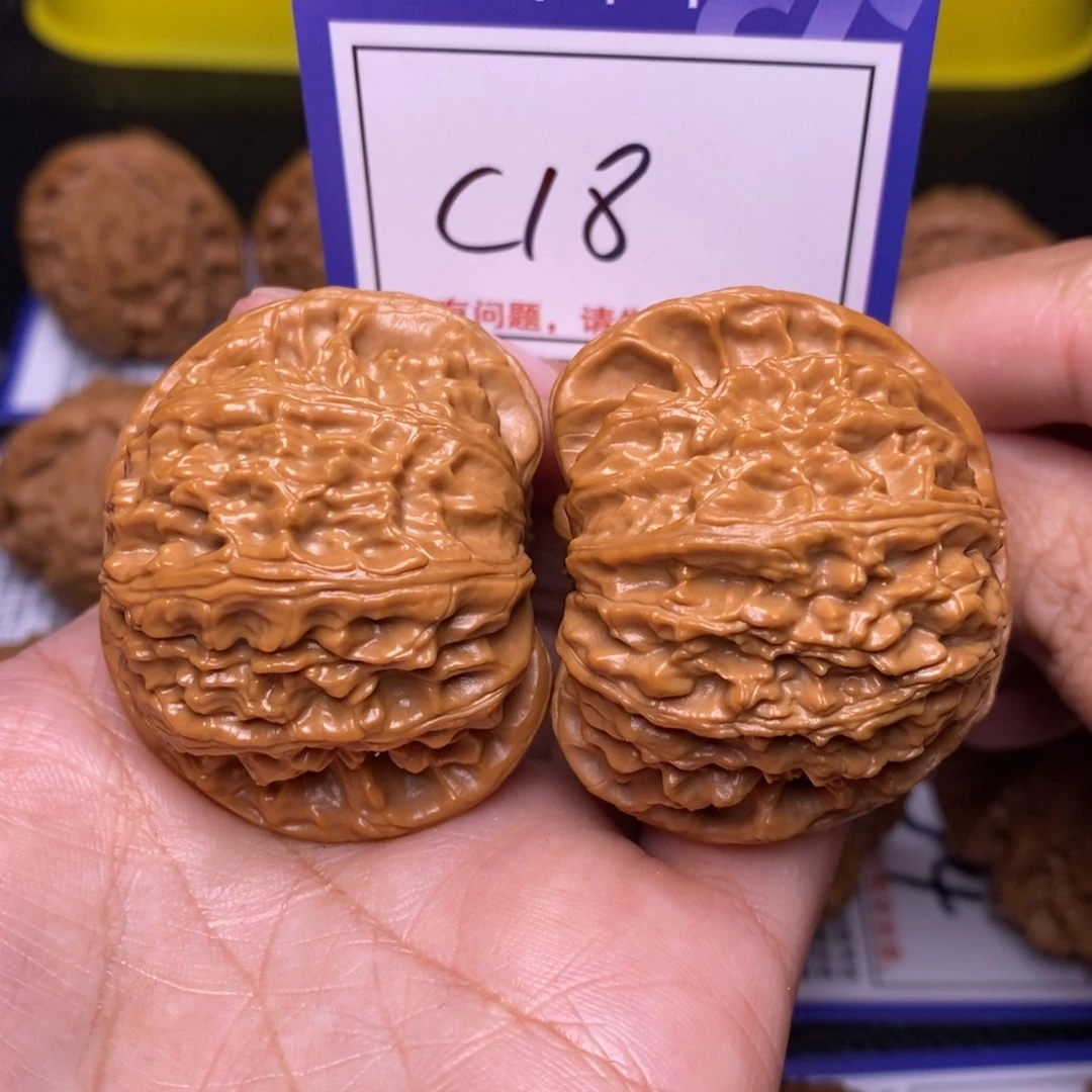 把件文玩核桃44白狮子c18