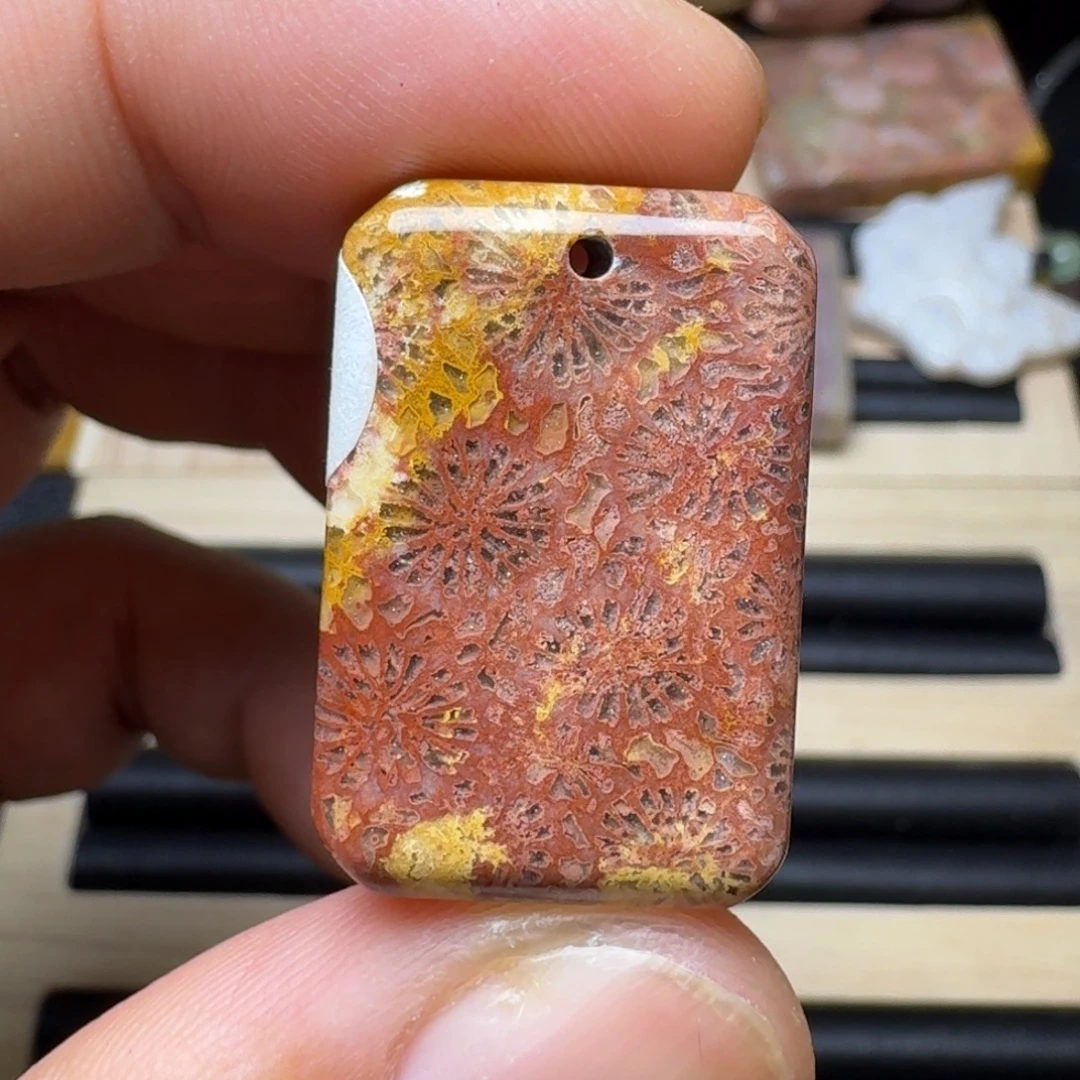 未镶嵌纯天然色有机玉石保真色硅化玉
