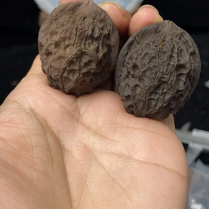 把件文玩核桃云南铁核桃基地97