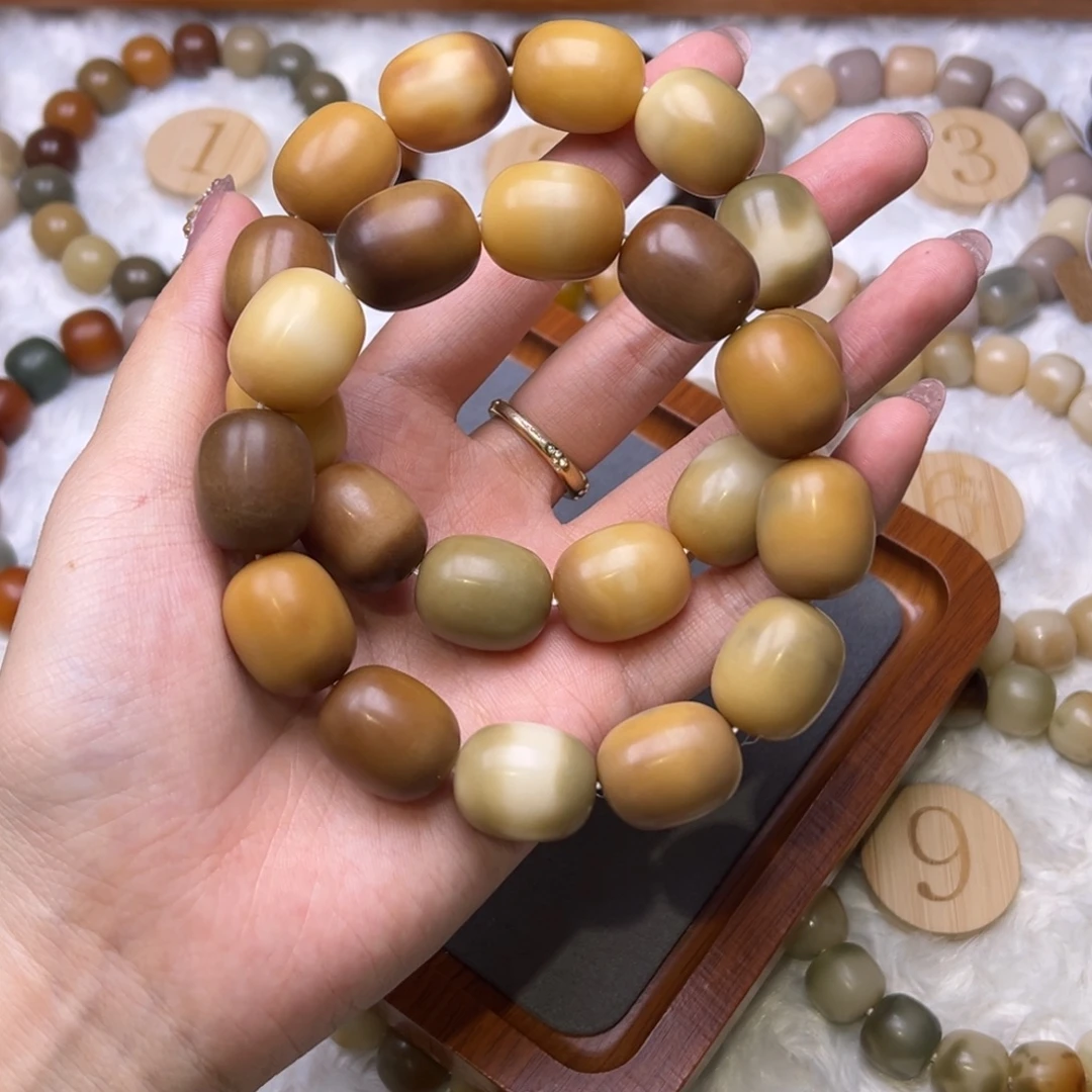 菩提根/象牙果手串秋枣卡19