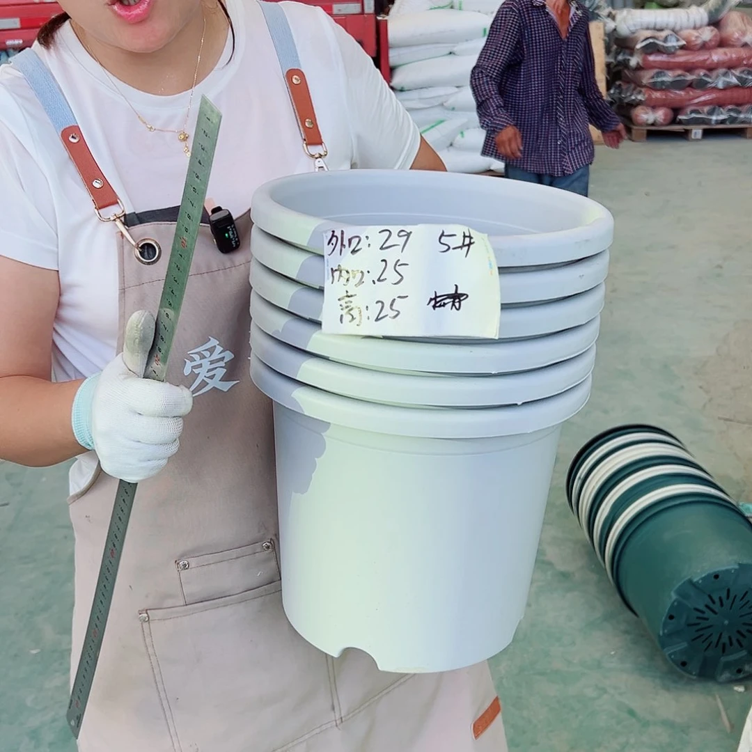 四季盆5#灰白色6个无托