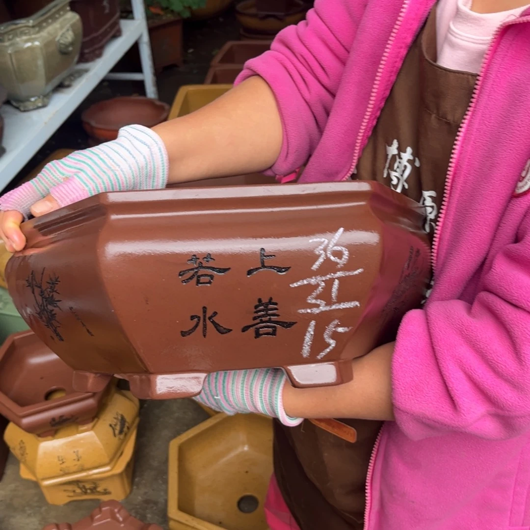 花盆紫砂盆景艺术