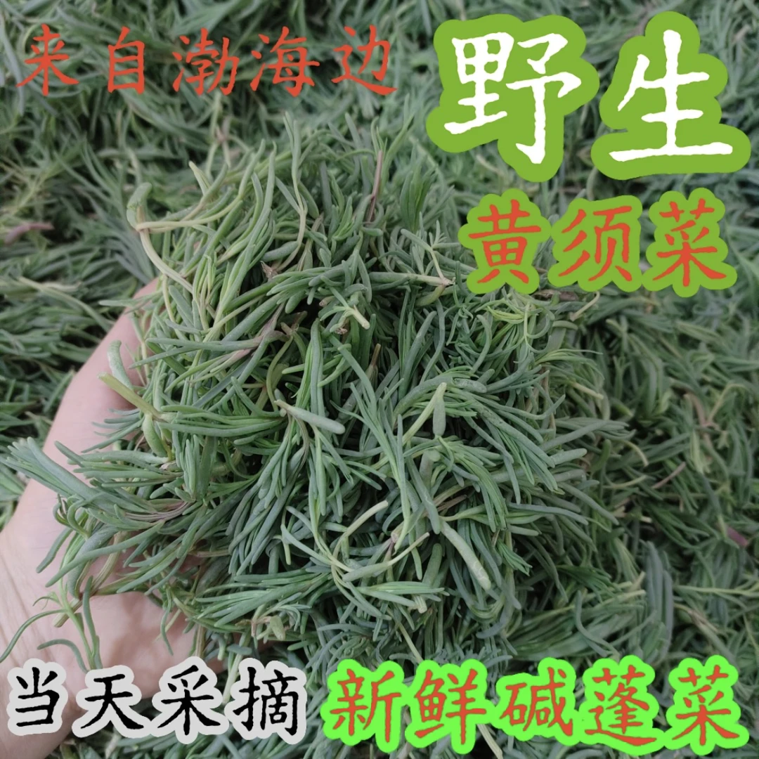 【京东快递】新鲜黄须菜碱性野菜脆嫩鲜香现采现发1斤3斤6斤装
