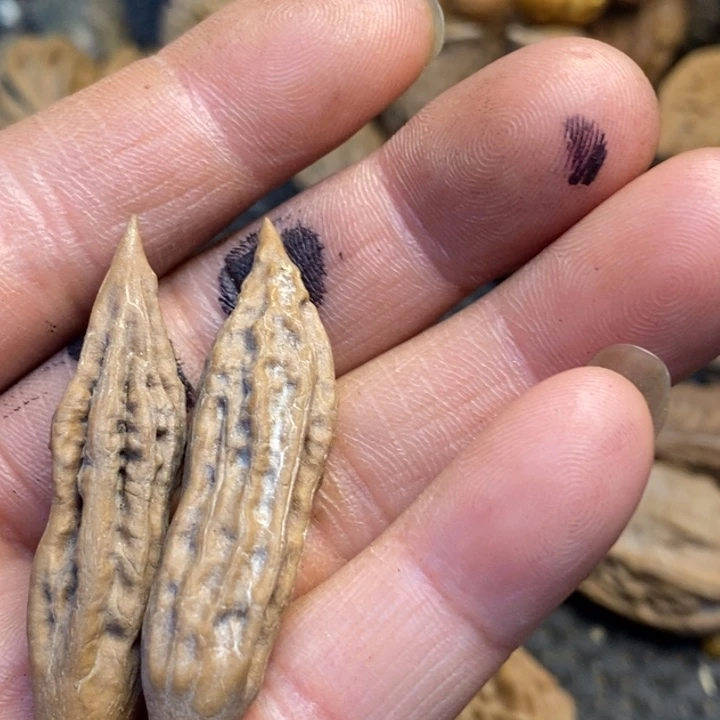 兴***兴文玩核桃吊坠娜姐82