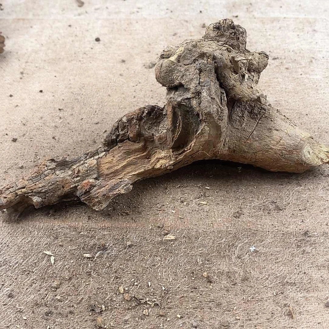 木刘*黄花梨随形料子