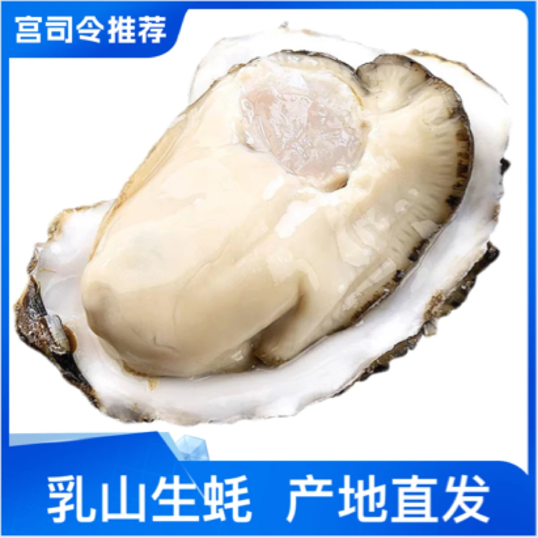 【宫司令专属】乳山生蚝 源产地现捞直发 买5斤送5斤