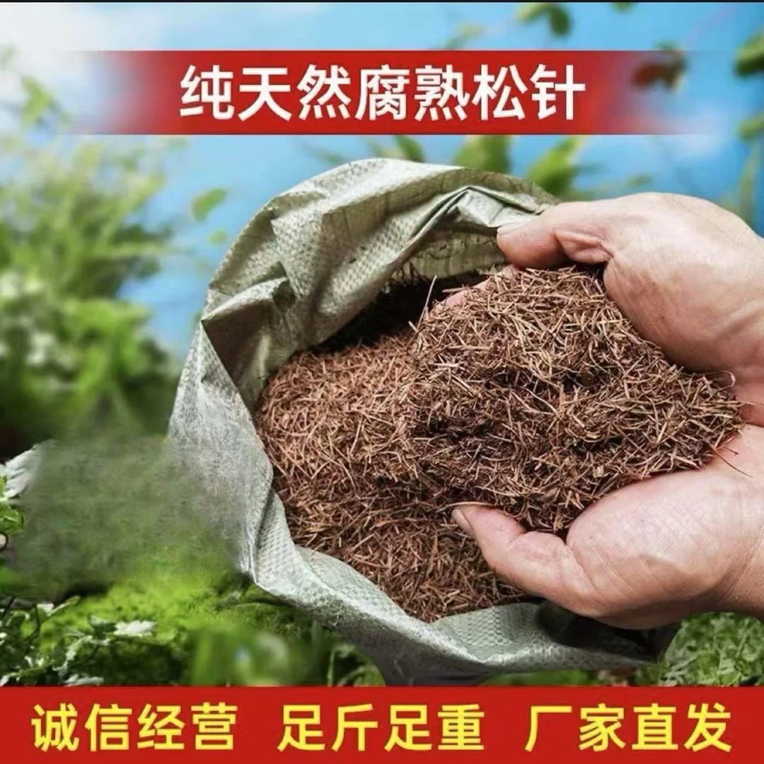 纯天然鸡粪发酵腐熟松针土专用适合多种土壤花卉绿植