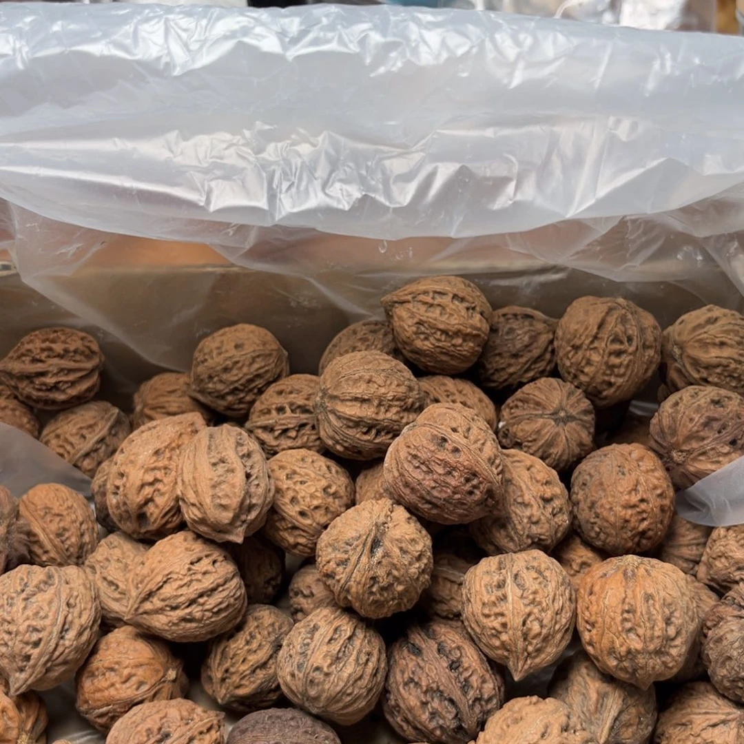 手串文玩核桃八*核桃26