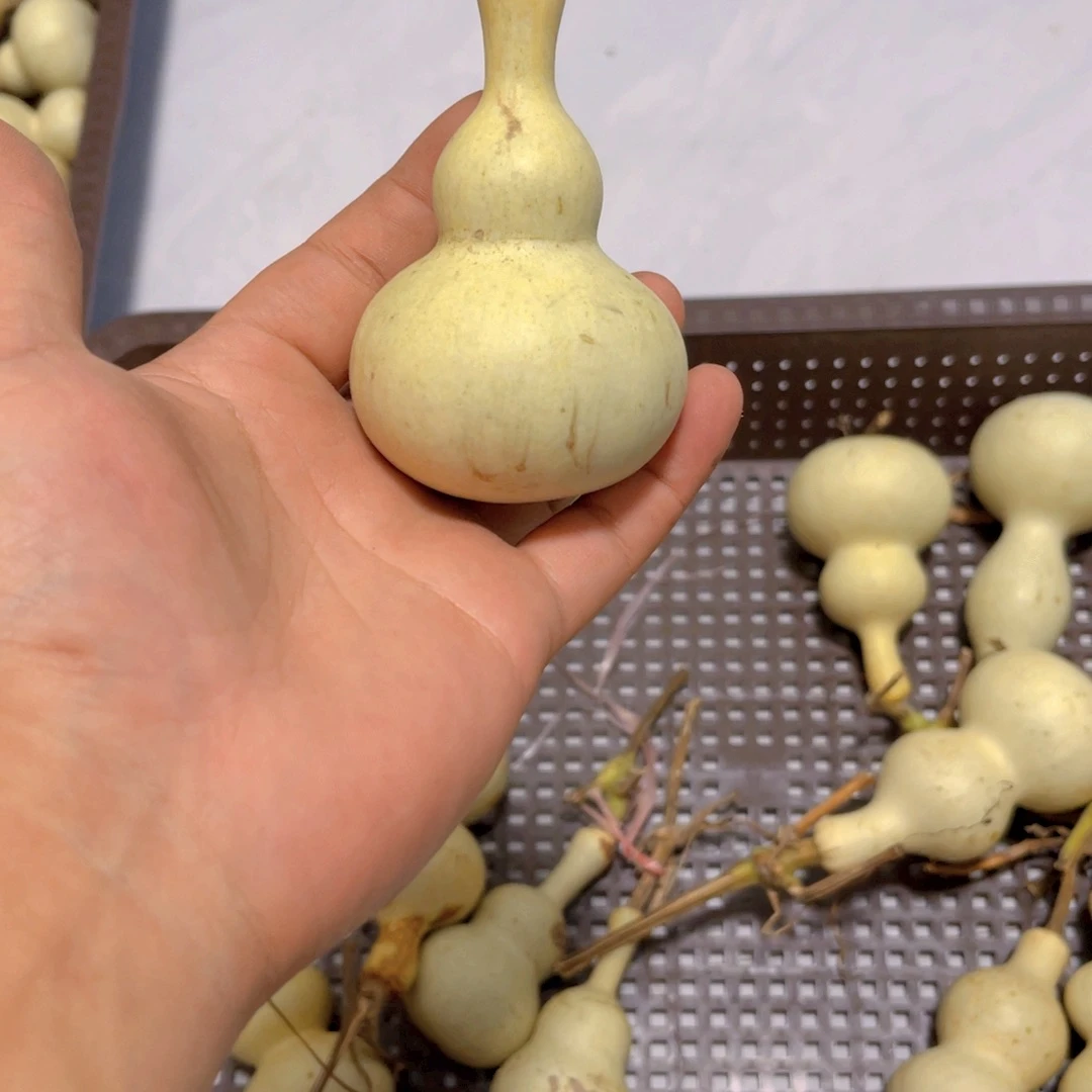✺***✺感谢大哥支持兄弟，不保