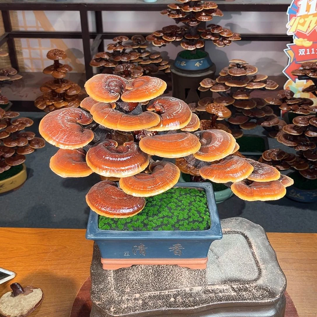 无花朵万事如意8888888888888