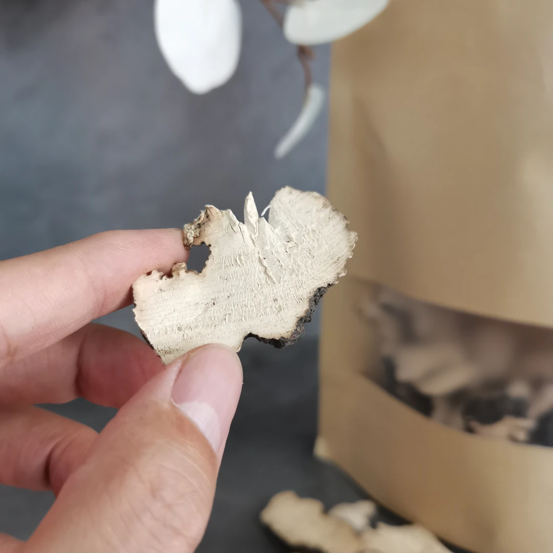 猪苓 高品质经方道地优质好货