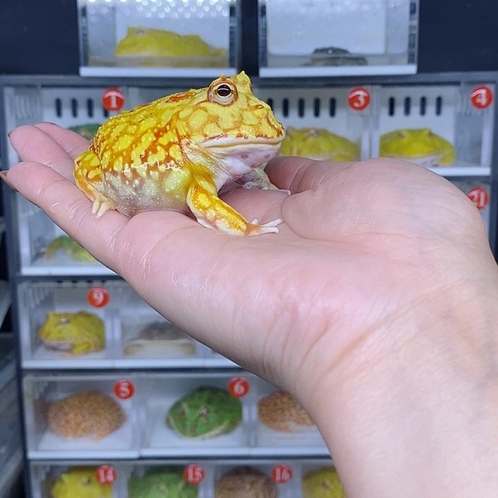 特价秒杀现货特价残