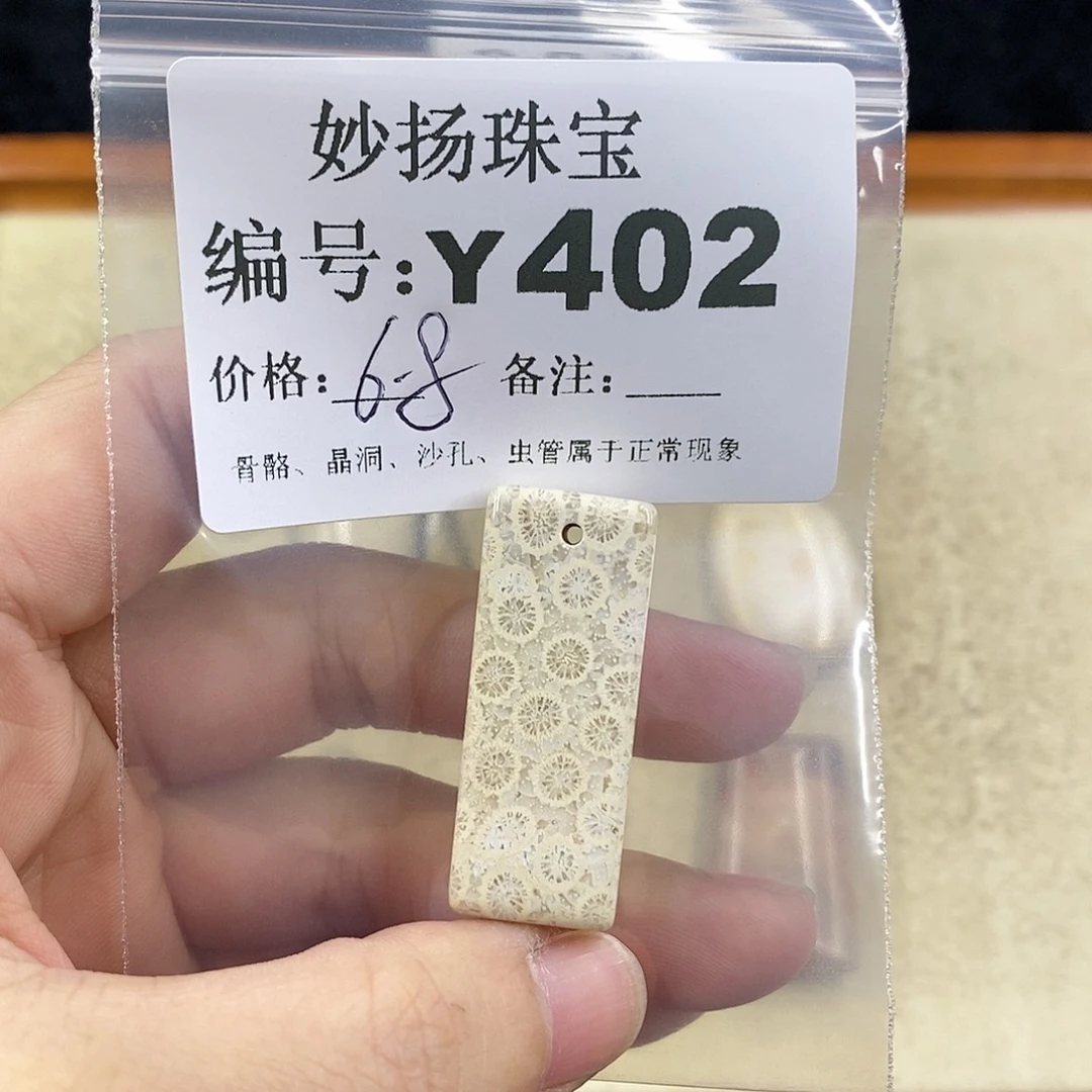 硅化珊瑚（珊瑚玉）1未镶嵌飘