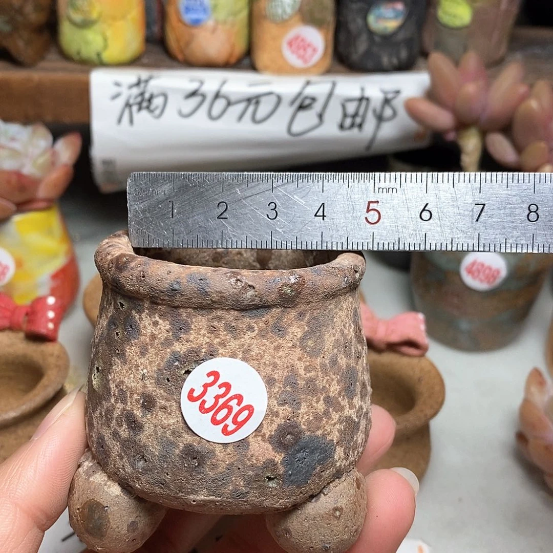 红陶拍5送一个小