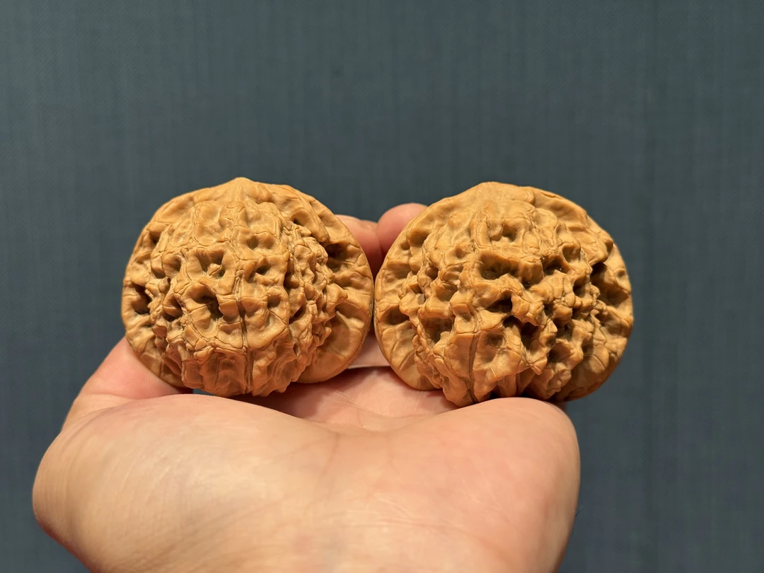 1010-核桃专场默白出品【HY精品-龙鼎】 精品核桃一对