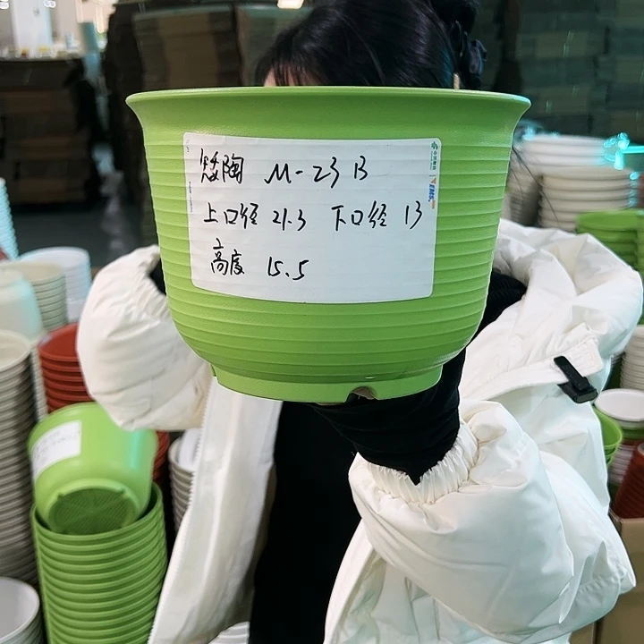 正品矮陶口21高15果绿色8个无托