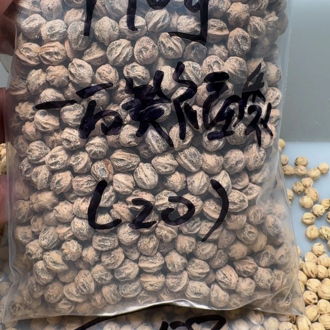 柏香籽/百香籽吊坠感*号