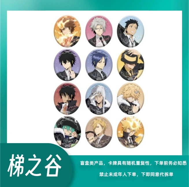 【滑梯】家庭教师HITMAN REBORN!椭圆烫金系列吧唧（默认代拆）