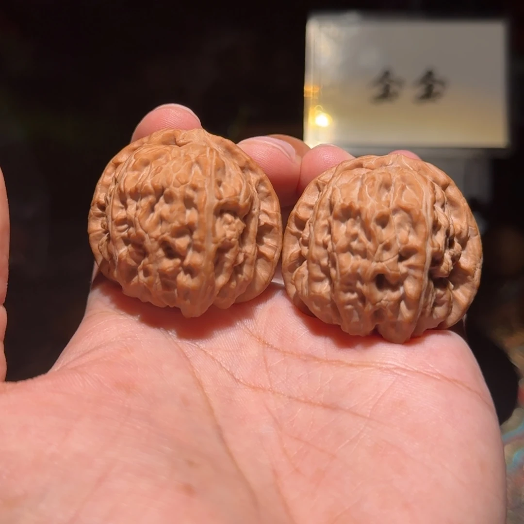 把件核桃691白狮子，尺寸41